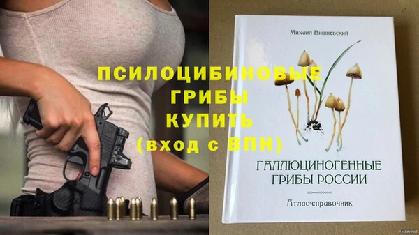 круглые Бородино
